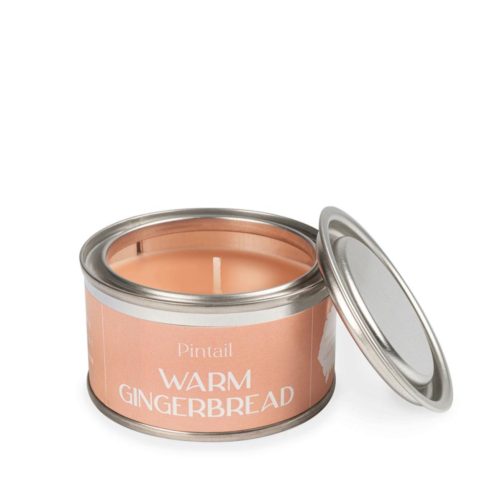 Pintail Candles Warm Gingerbread Paint Pot Candle £5.18